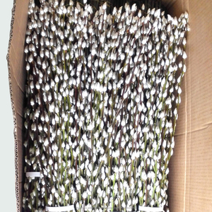 2018 frische schnittblume <span class=keywords><strong>pussy</strong></span> <span class=keywords><strong>willow</strong></span> für neujahrsfeier großhandel konservierte blume - Product Image 2