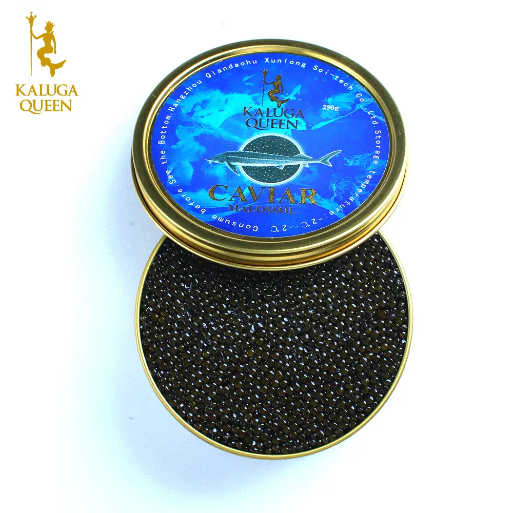 Cina società di kaluga vendita delizioso marrone chiaro ibridi di storione caviale per caviar ristorante
