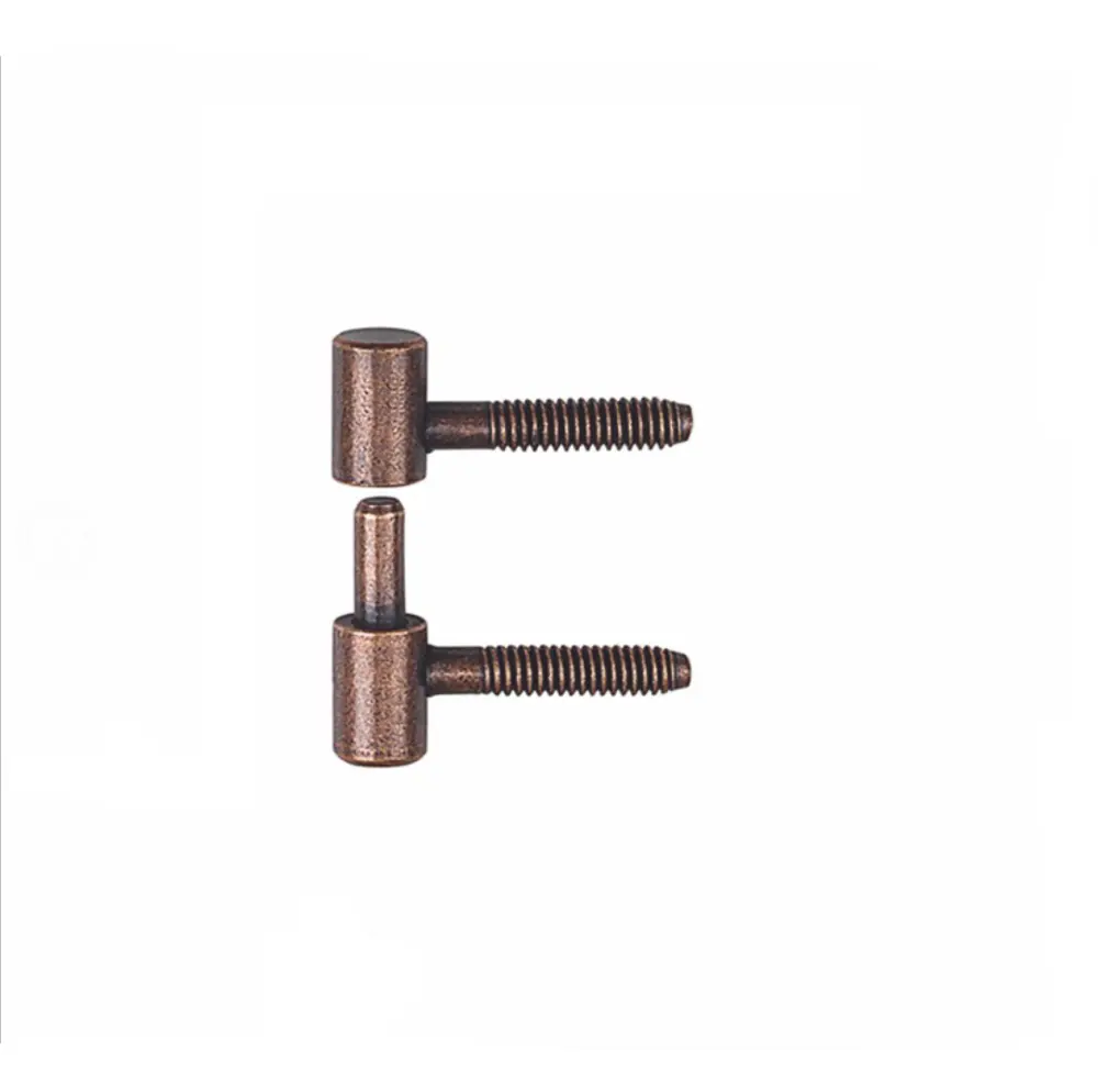 European Steel Screw Hinges For Wooden Door