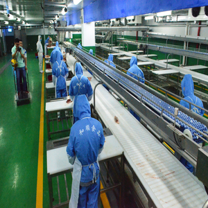 Ternak Pembantaian Peralatan dengan Daging Sapi Menyembunyikan Penarik untuk Halal Rumah Potong Abattoir Line - Product Image 4