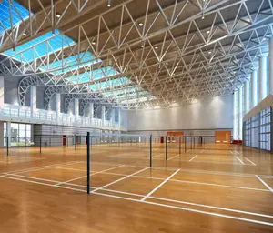 Techado de estructura de acero estándar de sala de deportes de estadio interior