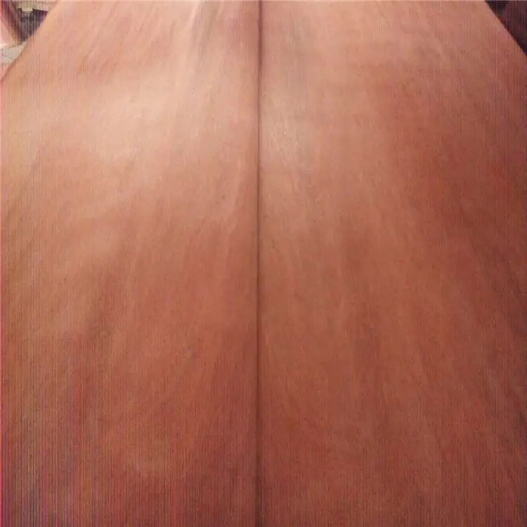 Bintangor legno veneer sheet