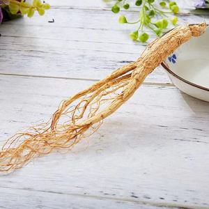 Ücretsiz örnek kökü <span class=keywords><strong>Ginseng</strong></span> yamalar asya <span class=keywords><strong>Ginseng</strong></span> - Product Image 6