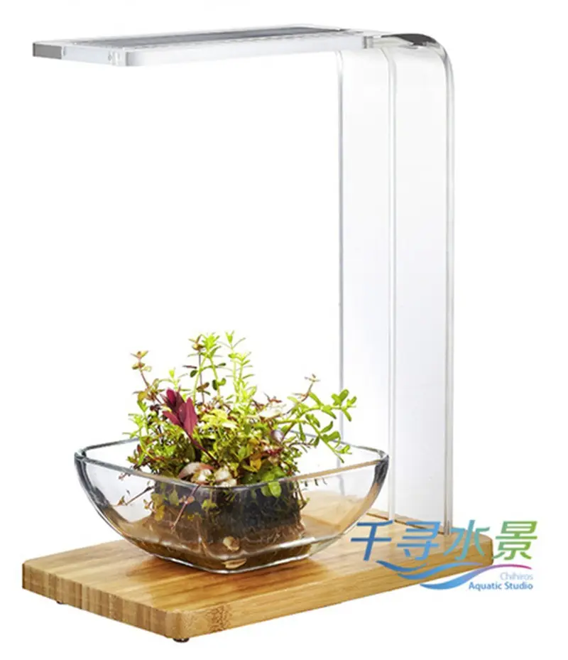 Wooden-M 2015 nouveau produit Chihiros aquarium bois simples système d'éclairage LED pour Wabi Kusa