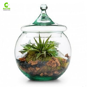 Glass Globe <strong>Terrarium</strong> <strong>Kit</strong> - Unique Gift - Product Image 1