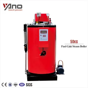 Energy Saving 50KG 100KG 150KG 200KG Mini Oil Gas Steam Boiler for Laundry