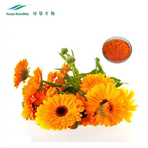 Extrato de flor marigold xanin 10%, produto de saúde