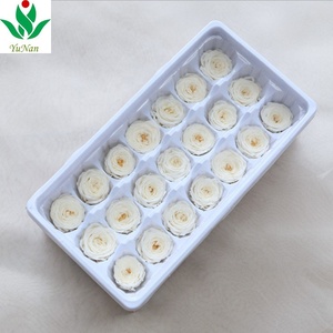 ดอกกุหลาบ Austin สำหรับการจัดดอกไม้หัวดอกกุหลาบนิรันดร์ขนาดมินิ2-3ซม. ที่เก็บรักษาไว้ - Product Image 4