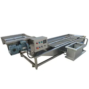 China Supply Commercial Hot Sale SS Fish Ice Glazing Machinery Price