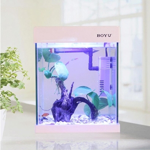 Boyu alta calidad al por mayor cleair acuáticos acuario peces Betta Tailandia Tanque de vidrio - Product Image 3