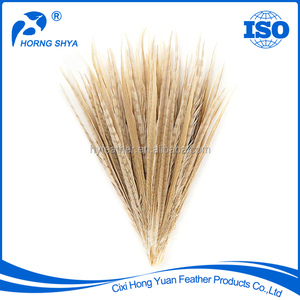 En gros <span class=keywords><strong>Pas</strong></span> <span class=keywords><strong>Cher</strong></span> Naturel et Coloré À <span class=keywords><strong>Collier</strong></span> de Queue de Faisan Plumes - Product Image 4