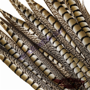 Comercio al por mayor 40-45 "Centro de Señora Amherst Pheasant Plumas de Cola Para La Venta - Product Image 1