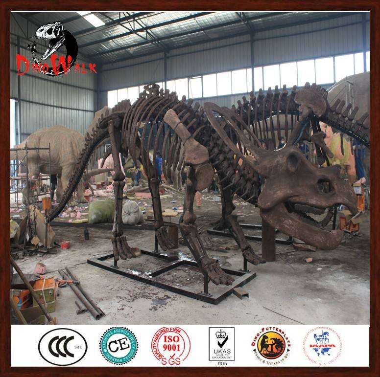 Dino0261動物園恐竜公園ブラキオサウルス恐竜頭化石スケルトン