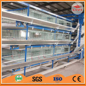 China al por <span class=keywords><strong>mayor</strong></span> jaulas capa de <span class=keywords><strong>pollo</strong></span> para la venta en el sur de África - Product Image 5