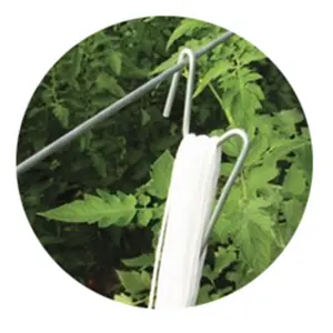 Skyplant Greenhouse Hanging Plant Hooks Tomato Hooks