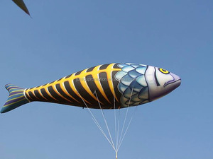 Ballon géant en forme de colombe, ballons gonflables géants pour défilés d'animaux BA-30 - Product Image 2