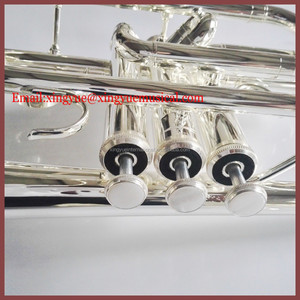 <span class=keywords><strong>Cornet</strong></span> 专业 mpdel - Product Image 2