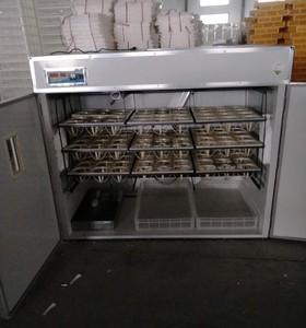 <span class=keywords><strong>108</strong></span> 새 달걀 인큐베이터 - Product Image 2