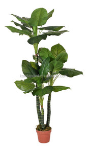 Tipos <span class=keywords><strong>de</strong></span> plantas ornamentales, <span class=keywords><strong>de</strong></span> plástico artificial decoración <span class=keywords><strong>de</strong></span> interior planta árboles - Product Image 2