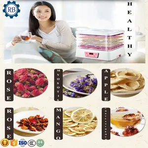 Best Selling Mini food drying machine / home food dehydrator / home use 5 layers fruits dryer
