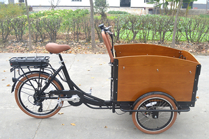 Compras <span class=keywords><strong>Bicicleta</strong></span> Eléctrica De Carga de La Familia urbana con <span class=keywords><strong>Caja</strong></span> de Transporte - Product Image 4