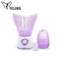 Nuevo vaporizador facial profesional eléctrico OEM Spray Nano Facial Spa Máquina de vapor facial iónica Enchufe LED Indicador de potencia 2 en 1