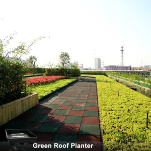 Green Roof Hydroponic Trays Gardening Pots Green Rooftop Planters Plastic Pot for Nursery Used with Flower/green Plant Black