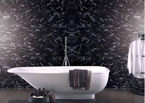 Продажа по доступной цене мрамор черный ( <span class=keywords><strong>The</strong></span> Jurassic marble) купить в Китае - Product Image 4