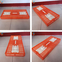 Pigeon en plastique Cage De Transport De Poulet Boîte pigeon piège cage