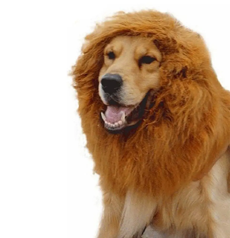 Fantasia de leão e cão grande, mane peruca-cão grande