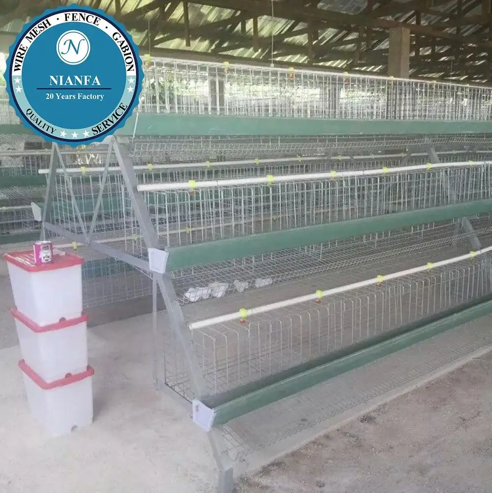 Cage quail /birds quail battery cages High quality cages for laying hens(Guangzhou Factory)