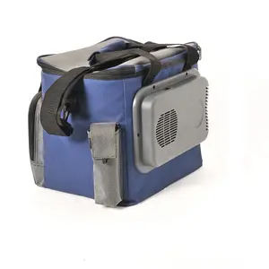 Workpro — sac glacière pour bouteille de glace, thermo-électrique, pour le Sport, refroidisseur de bière, 15l