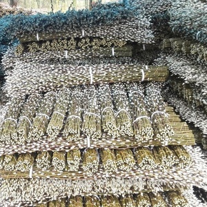 Fiori Freschi di Alta Qualità, Salice di Prima Qualità, Fiori Secchi Naturali - Product Image 5