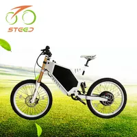 High power tailg e-bike with 48v battery electric bicycle from china