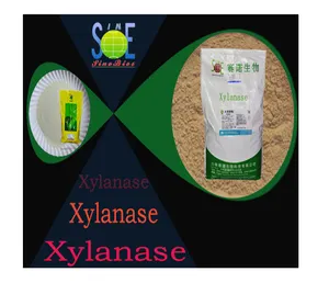 Enzima xilanasi XY50BA polvere enzima