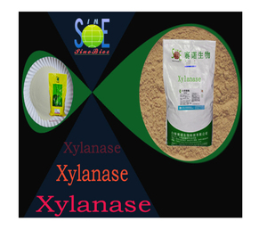 <span class=keywords><strong>Enzyme</strong></span> <span class=keywords><strong>Xylanase</strong></span> XY50BA <span class=keywords><strong>enzyme</strong></span> en poudre - Product Image 1