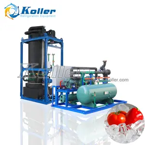 koller tube ice maker 10 tons tube ice machine price for malaysia TV100