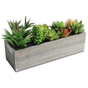 Artificiale Misto <span class=keywords><strong>Piante</strong></span> Succulente in Scatola Rettangolare Brown Fioriera in Legno - Product Image 2