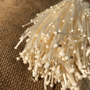 Detan fresca Enoki/Nombres de hongos comestibles - Product Image 3