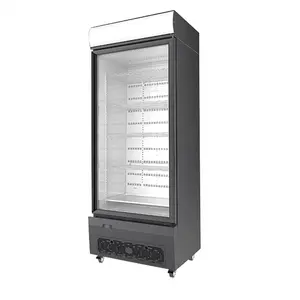 商业冰箱直立玻璃门能量饮料饮料显示冷却器
