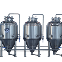 Brasseur domestique multifonctionnel Cylindro-conique 30l en acier inoxydable CE Brasserie Kit de brassage de bière Bière en gros Fabrication de bière