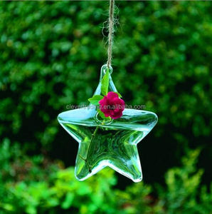 <span class=keywords><strong>Vendita</strong></span> diretta in fabbrica vaso di <span class=keywords><strong>piante</strong></span> da fiore di alta qualità vetro trasparente terrario vaso di vetro idroponico - Product Image 5