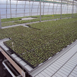 ระบบปลูกพืชแบบไฮโดรโปนิกส์ แบบน้ำขึ้นน้ำลง พร้อมแท่นปลูกแบบเคลื่อนที่ - Product Image 4