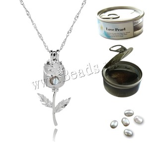 Pendentif <span class=keywords><strong>cage</strong></span> en perle d'eau douce classique et mignon, collier à fermoir, styles différents, alliage de zinc creux plaqué argent, bijoux cadeau - Product Image 6