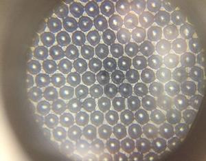 Rodillo de cerámica, - Product Image 1