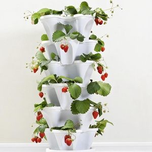 Système de <span class=keywords><strong>culture</strong></span> hydroponique commercial <span class=keywords><strong>culture</strong></span> de <span class=keywords><strong>fraises</strong></span> - Product Image 4