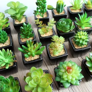 Factory Sale Artificial Succulent Plants Mini Potted Artificial Succulent Plants