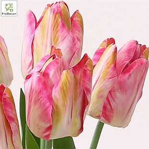 ดอกทิวลิปลาเท็กซ์คุณภาพสูง ก้านเดี่ยว ดอกไม้ประดิษฐ์ ผ้าไหม สัมผัสเหมือนจริง ทิวลิปไอริช ก้านยาว สีชมพูไล่เฉด - Product Image 3