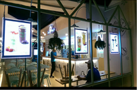 Écran LED transparent d'intérieur P8 de 70 pouces, affiche pleine couleur, affichage sur vitre, écran LED cristal