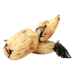 Alta Benefici Verdure Fresche Cibo Radice di Loto - Product Image 2